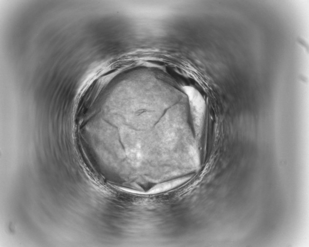 X0000093210293200710241202