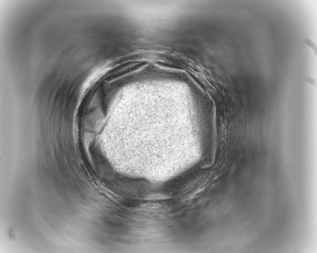 X0000093210294200710241202