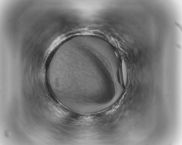 X0000093210295200710241202