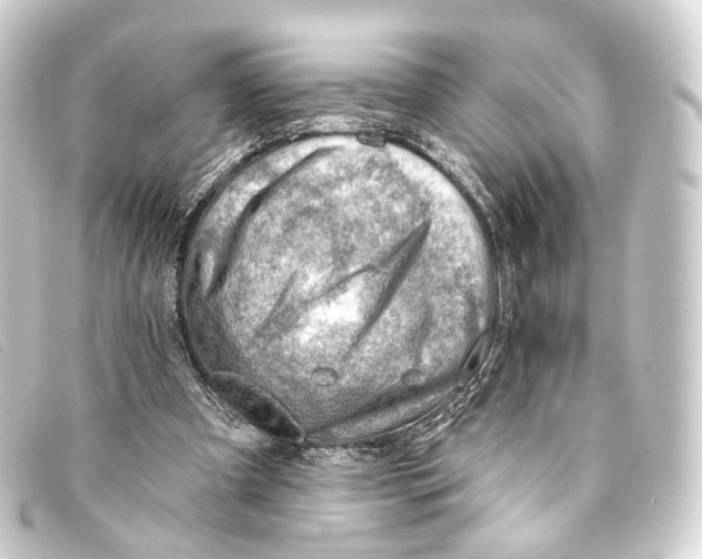 X0000093210297200710241202