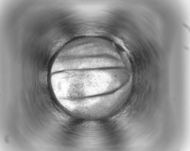 X0000093210299200710241202