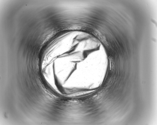 X0000093210300200710241202