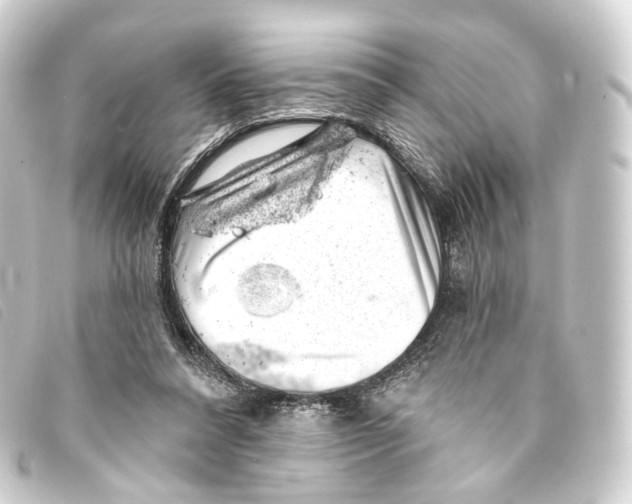 X0000093210304200710241202