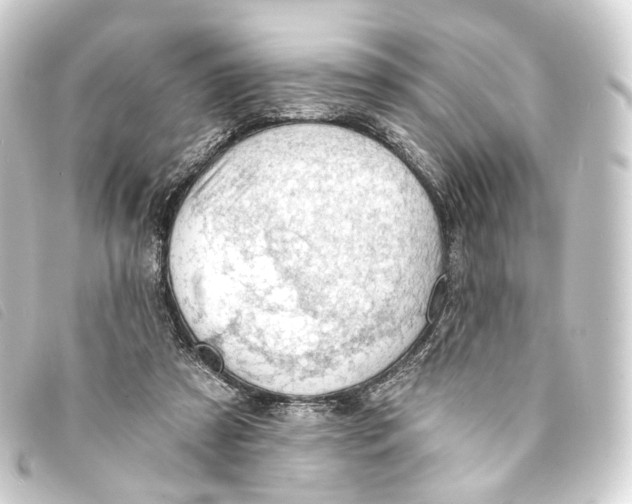 X0000093210305200710241202