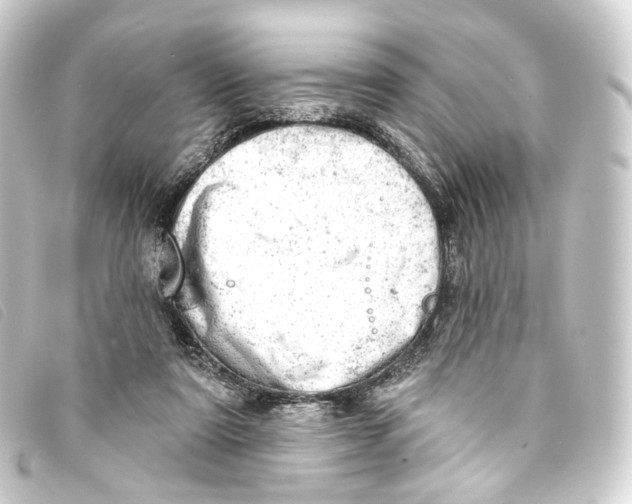 X0000093210307200710241202