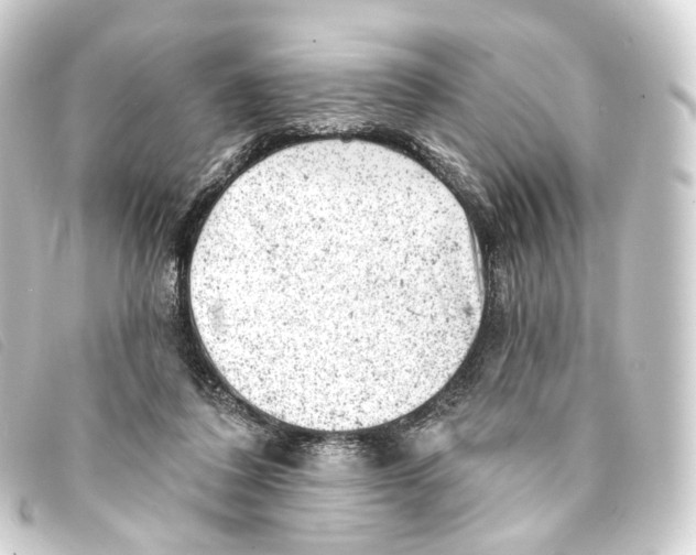 X0000093210308200710241202