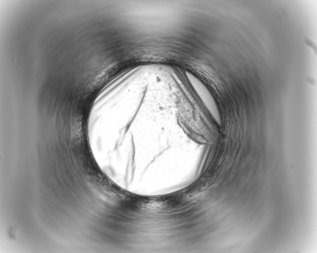 X0000093210312200710241202