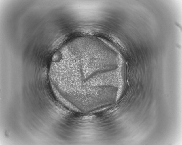 X0000093210314200710241202