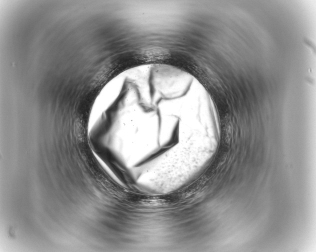 X0000093210316200710241202