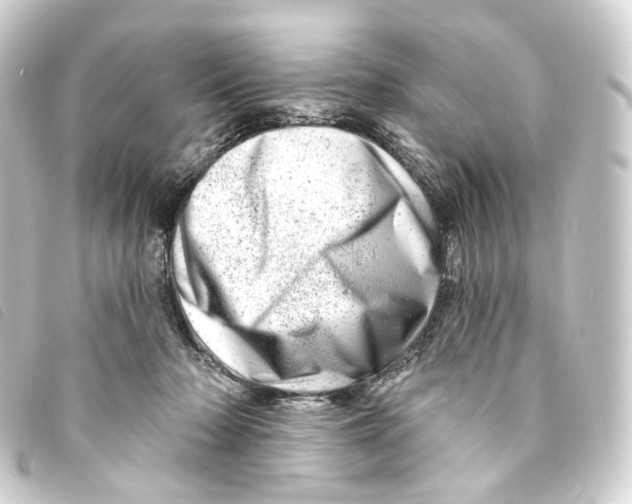 X0000093210318200710241202