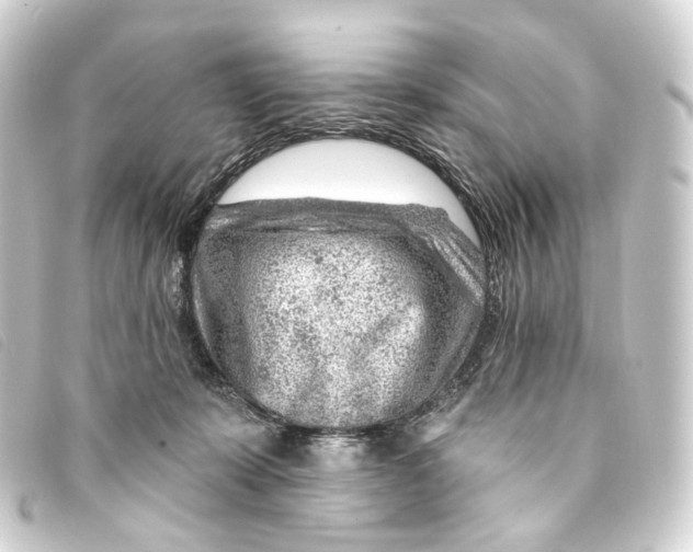 X0000093210319200710241202