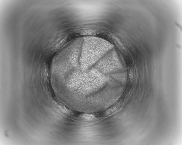 X0000093210322200710241202