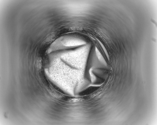 X0000093210323200710241202