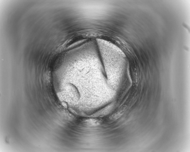X0000093210326200710241202