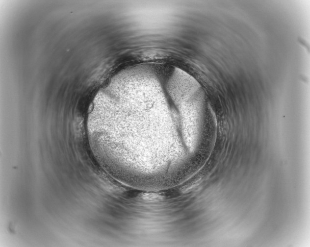 X0000093210327200710241202