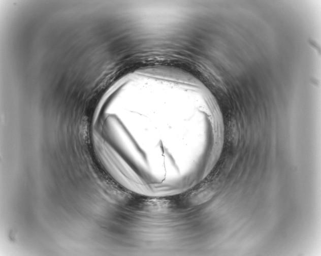 X0000093210328200710241202