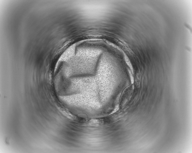 X0000093210330200710241202