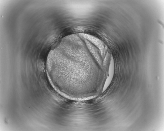 X0000093210331200710241202