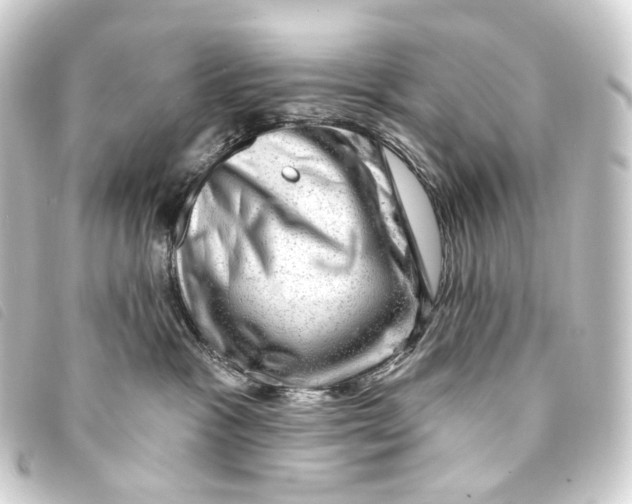 X0000093210333200710241202
