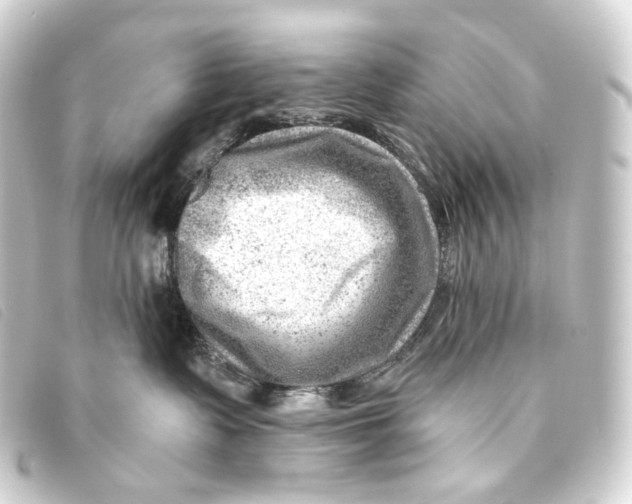 X0000093210335200710241202