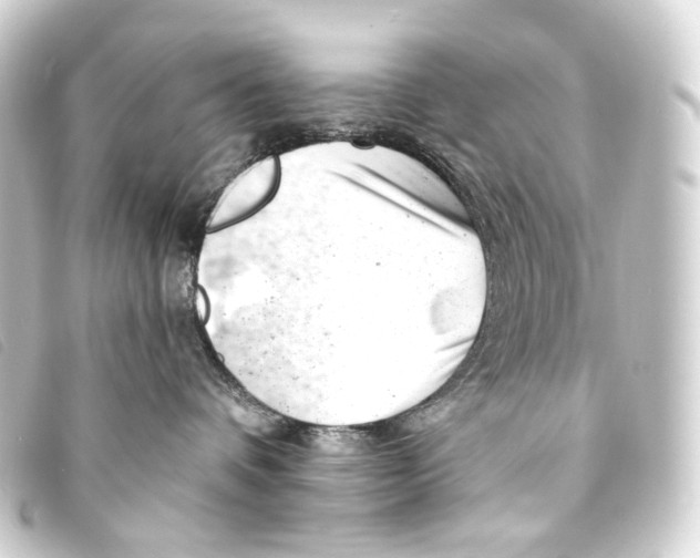 X0000093210336200710241202