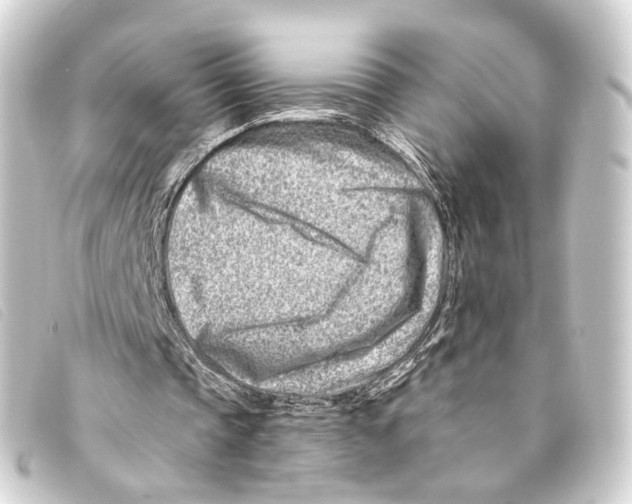 X0000093210337200710241201