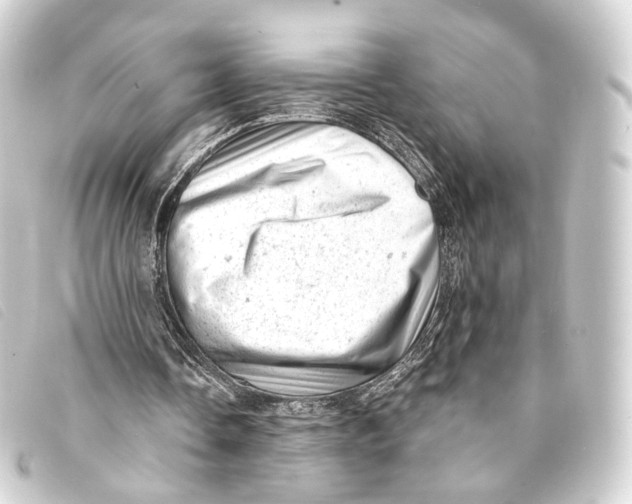 X0000093210338200710241201
