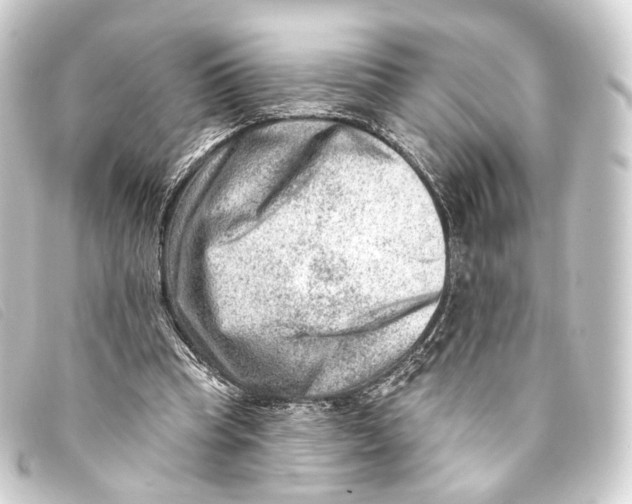 X0000093210345200710241201
