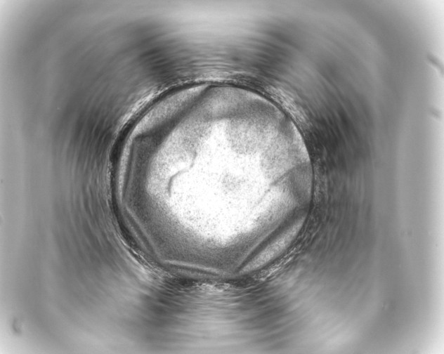 X0000093210346200710241201