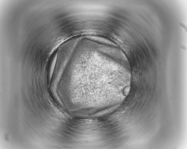 X0000093210347200710241201