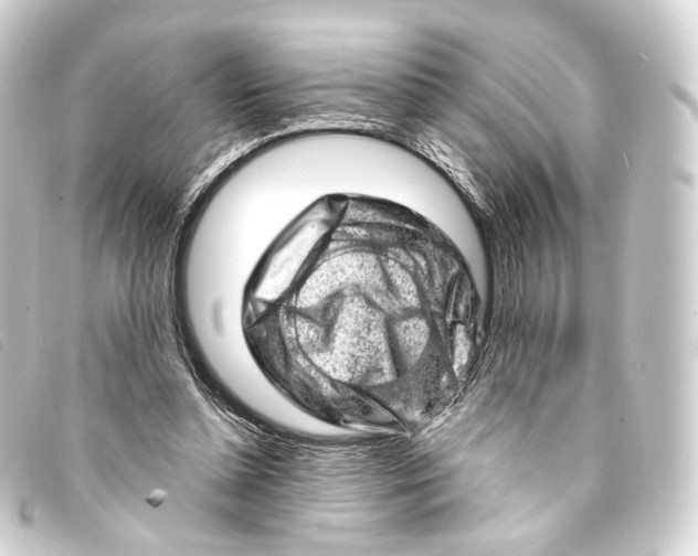 X0000093210348200710241201