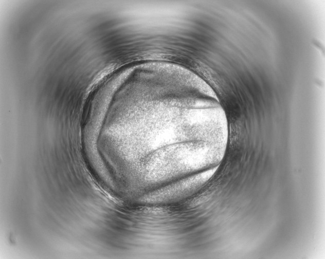X0000093210349200710241201