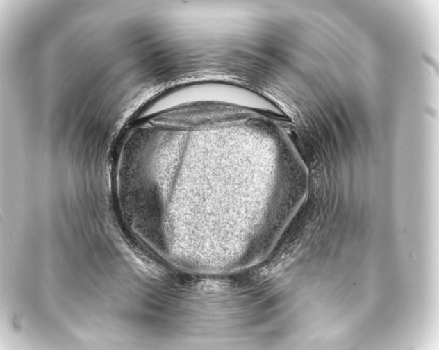 X0000093210350200710241201