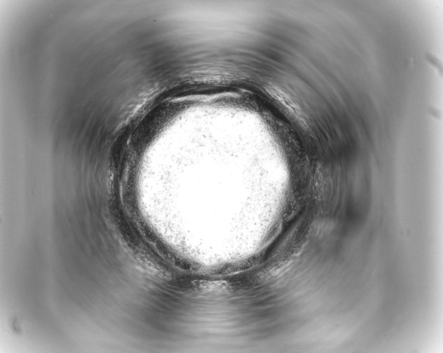 X0000093210355200710241201