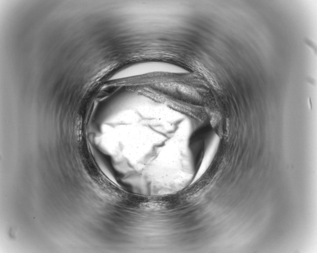X0000093210356200710241201
