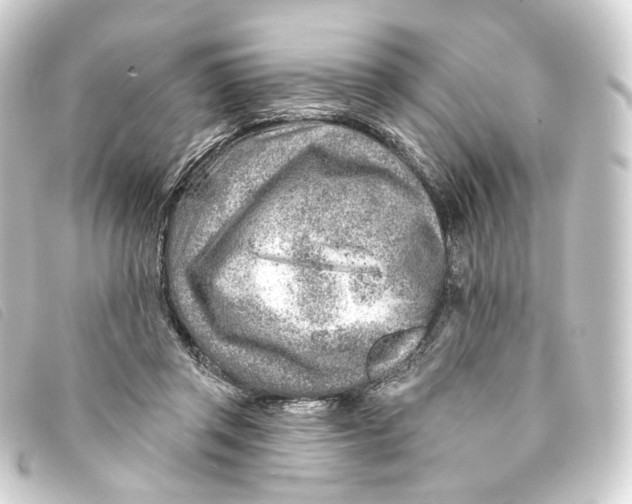 X0000093210357200710241201