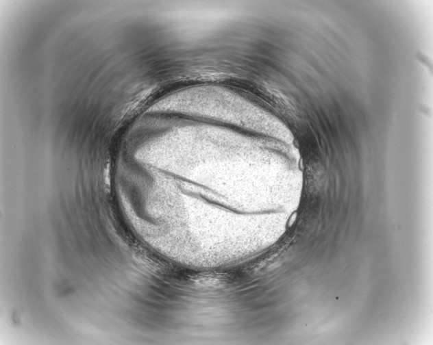 X0000093210358200710241201