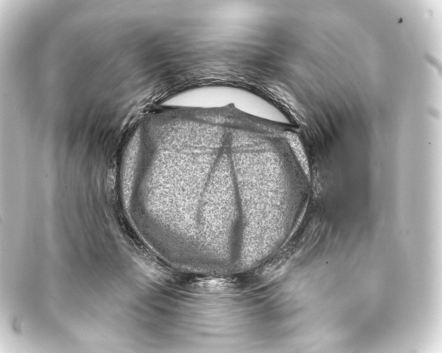 X0000093210365200710241202