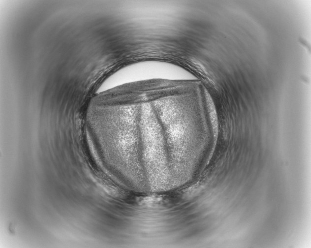 X0000093210366200710241202