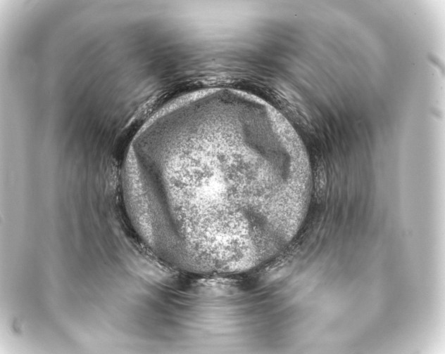 X0000093210367200710241202