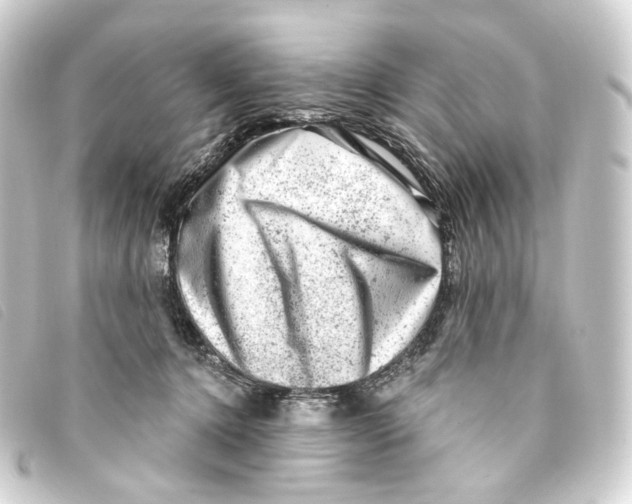 X0000093210368200710241202