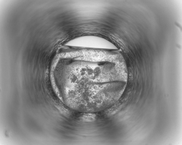 X0000093210369200710241202
