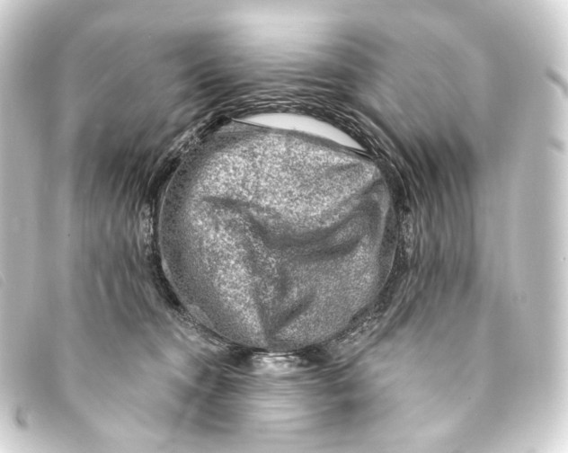 X0000093210372200710241202