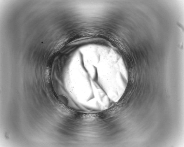 X0000093210378200710241202