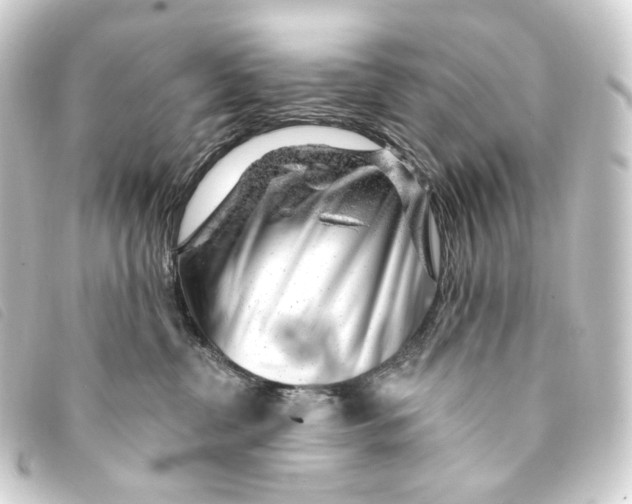 X0000093210380200710241202