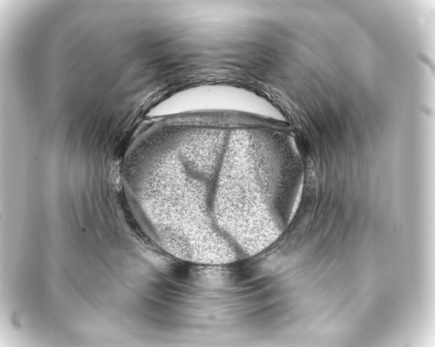X0000093210383200710241202
