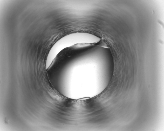X0000093210384200710241202