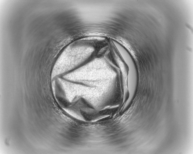 X0000093210385200710241201
