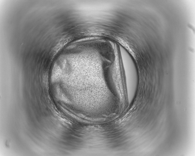X0000093210386200710241201
