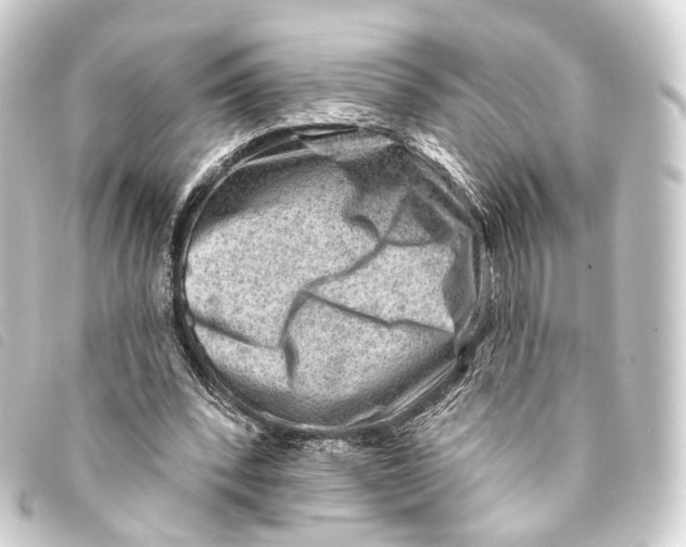 X0000093210392200710241201